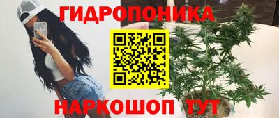 ECSTASY Обь